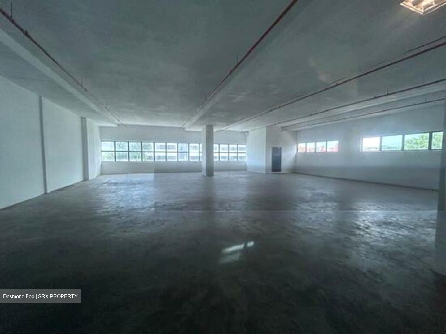 Loyang Industrial Estate (D17), Factory #455343961